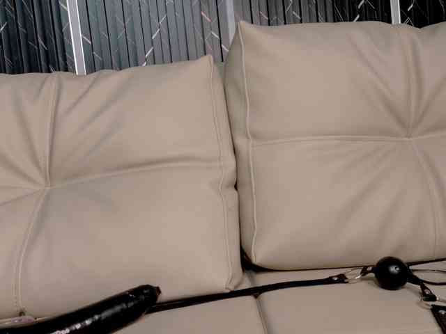 LittleKloe webcam
