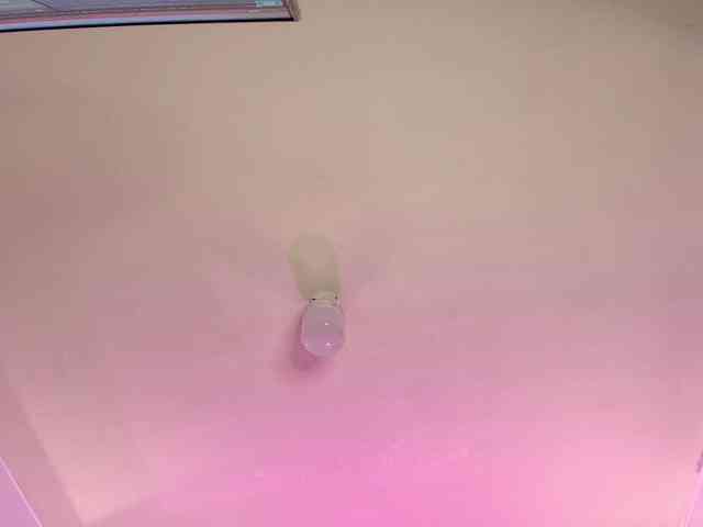 LittleKloe webcam