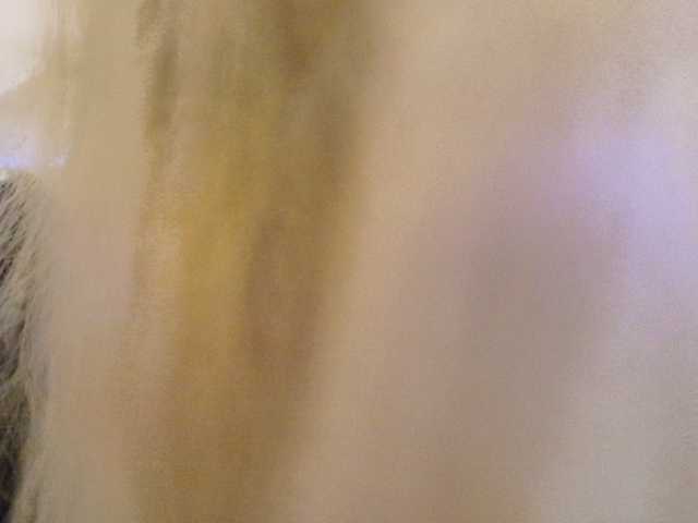 Liliiaxxx