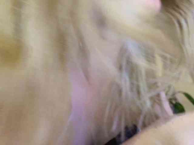 Liliiaxxx webcam