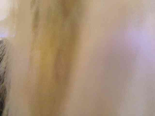 Liliiaxxx webcam