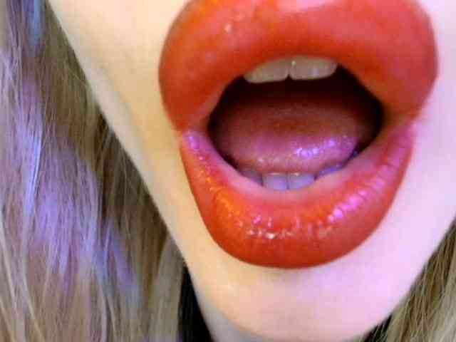 Modelo: Politexxx