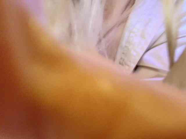 Liliiaxxx webcam