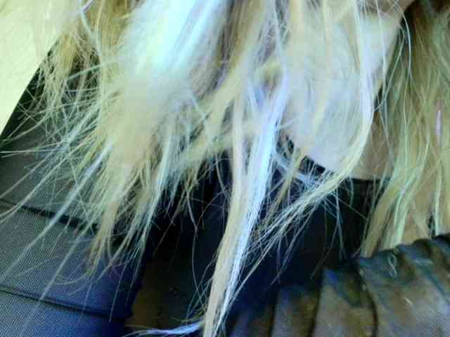 Liliiaxxx webcam