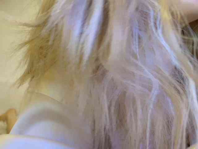 Liliiaxxx webcam