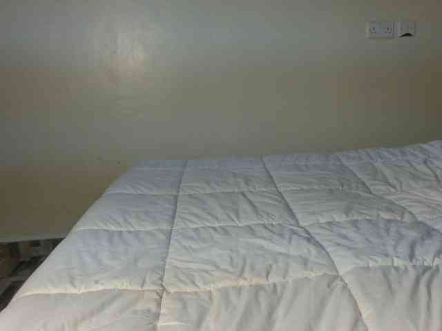 Horny-chocolate webcam