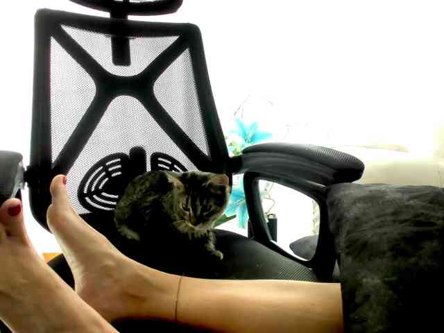 nadiaSamiri webcam