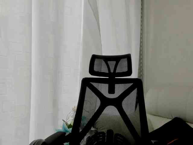 nadiaSamiri webcam