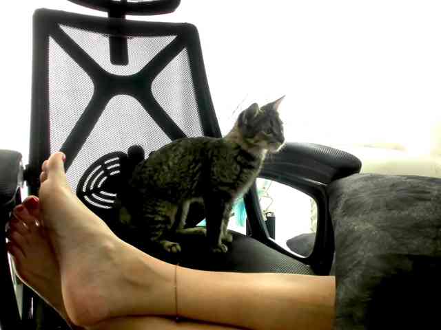 nadiaSamiri webcam