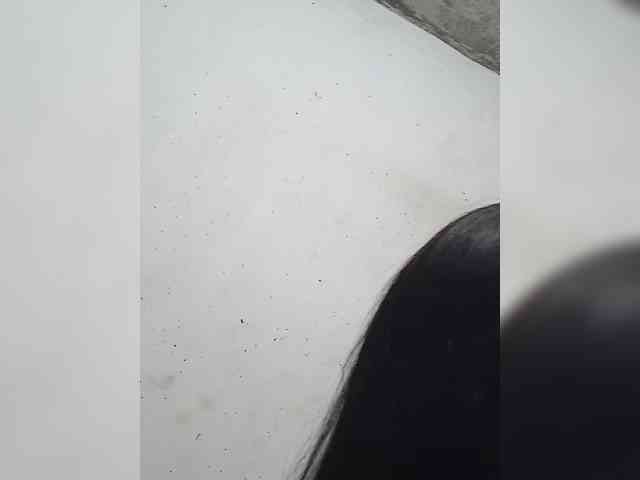 nadiaSamiri webcam