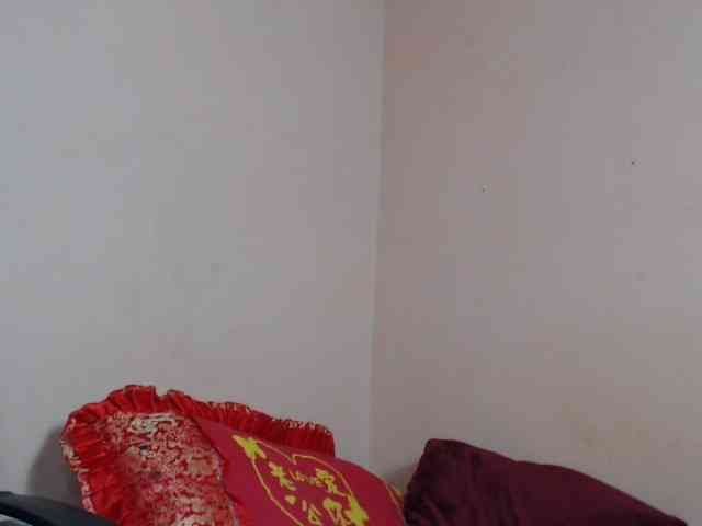 Rsylvie webcam