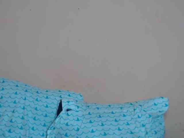 Rsylvie webcam