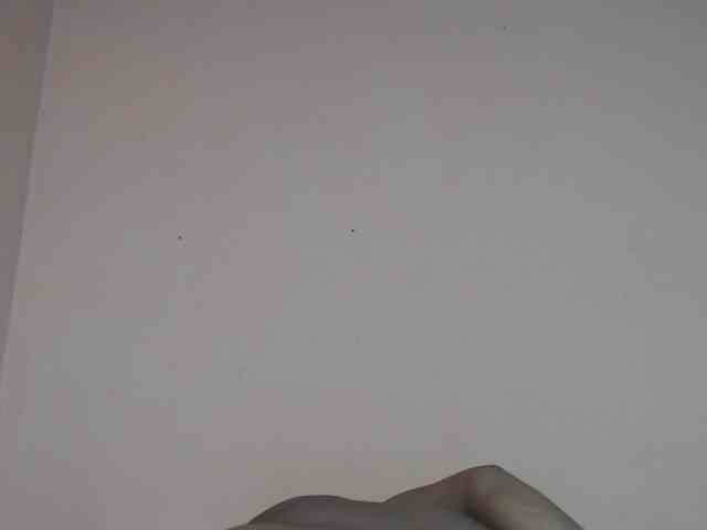 Rsylvie webcam