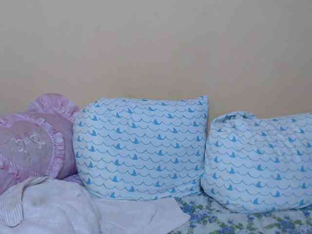 Rsylvie webcam