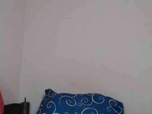 Rsylvie webcam