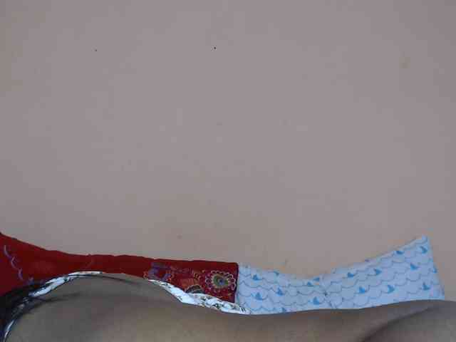 Rsylvie webcam