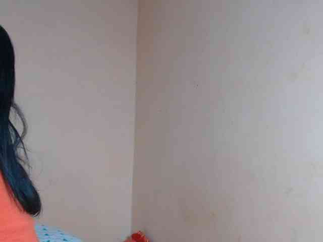 Rsylvie webcam