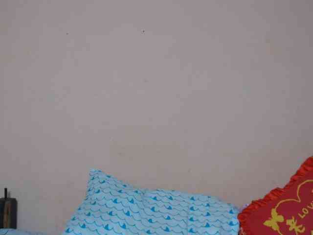 Rsylvie webcam