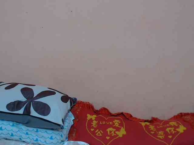 Rsylvie webcam