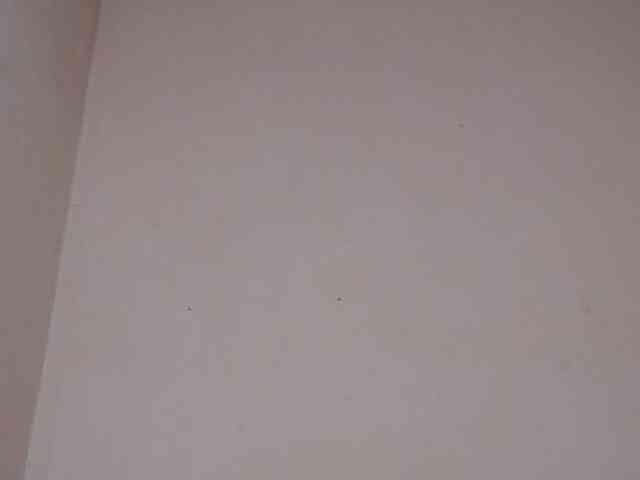 Rsylvie webcam