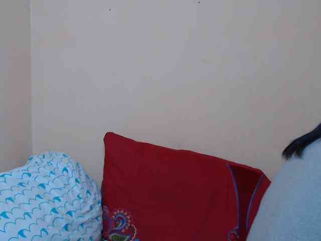 Rsylvie webcam