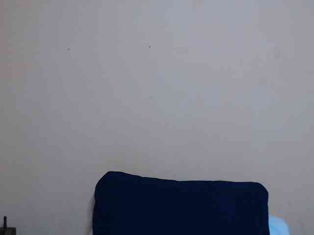 Rsylvie webcam