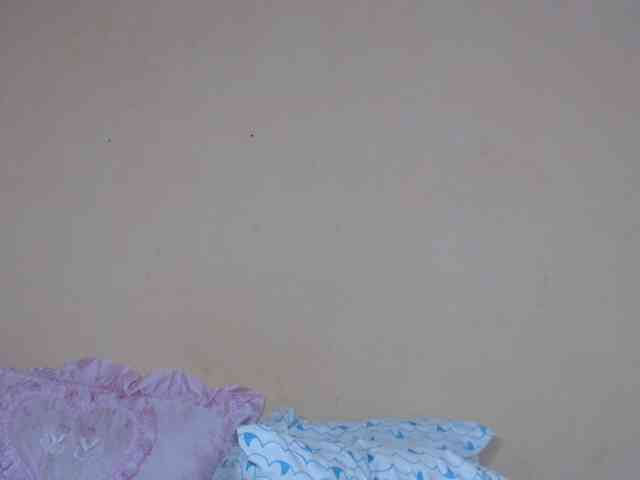 Rsylvie webcam