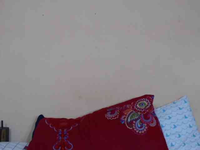 Rsylvie webcam