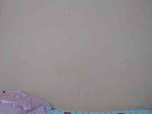 Rsylvie webcam