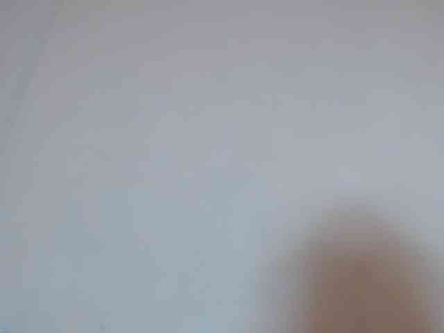 Rsylvie webcam