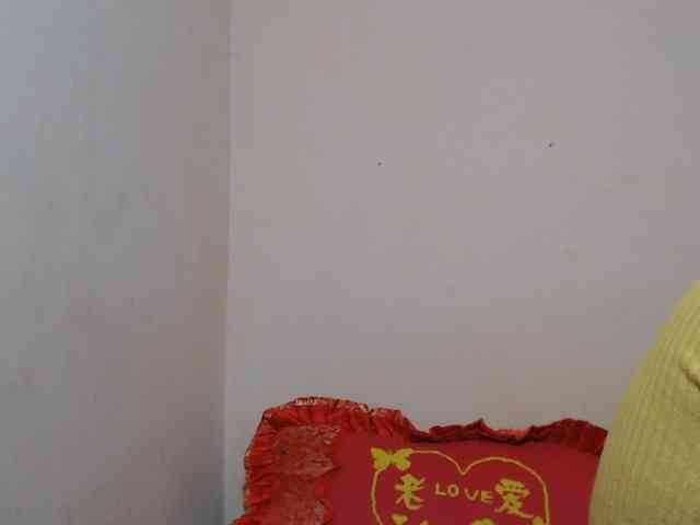 Rsylvie webcam