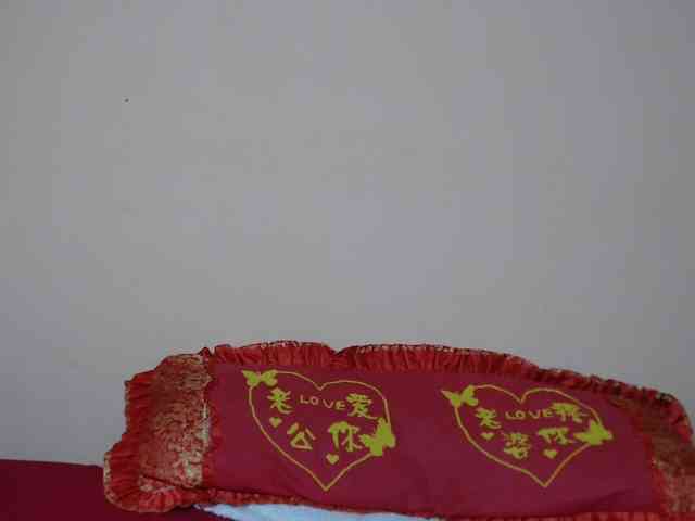 Rsylvie webcam