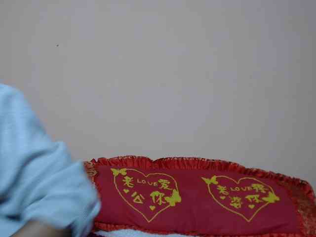 Rsylvie webcam