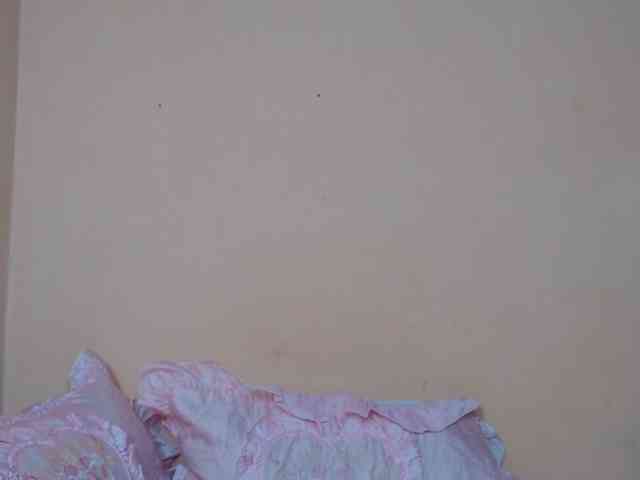 Rsylvie webcam