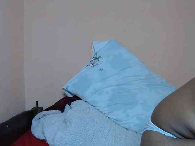 Rsylvie webcam