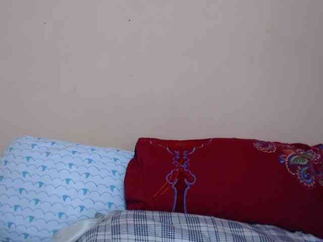 Rsylvie webcam