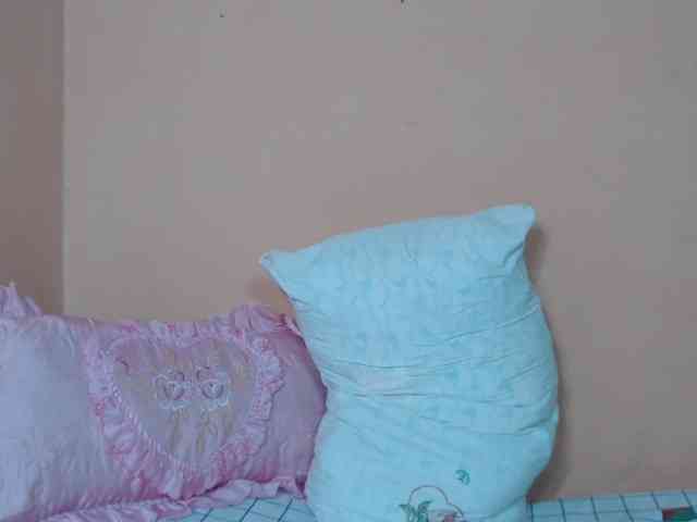 Rsylvie webcam