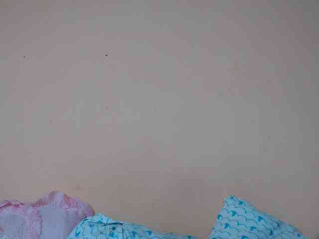 Rsylvie webcam