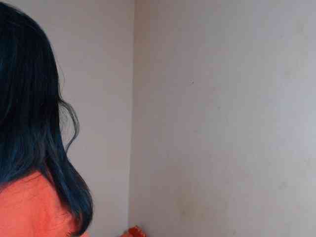 Rsylvie webcam