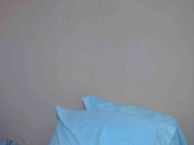Rsylvie webcam