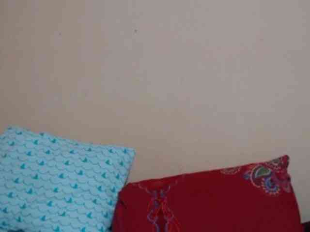 Rsylvie webcam