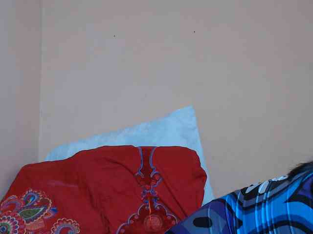 Rsylvie webcam