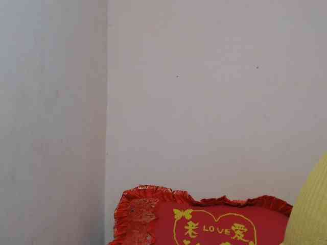 Rsylvie webcam