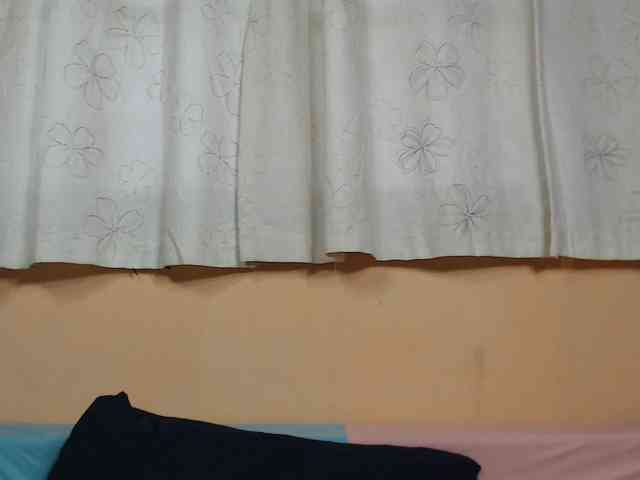 Rsylvie webcam