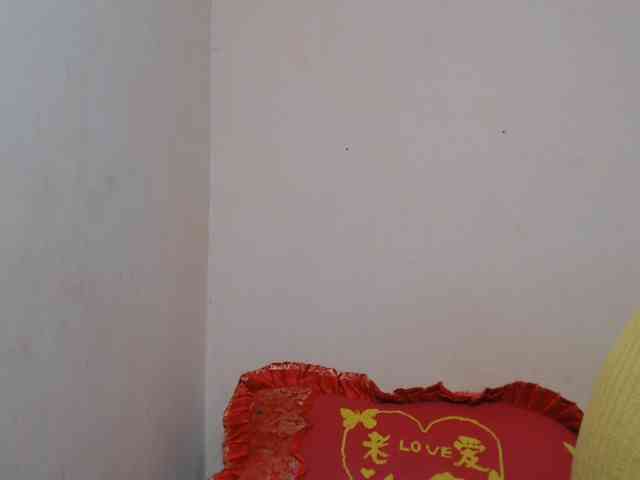 Rsylvie webcam