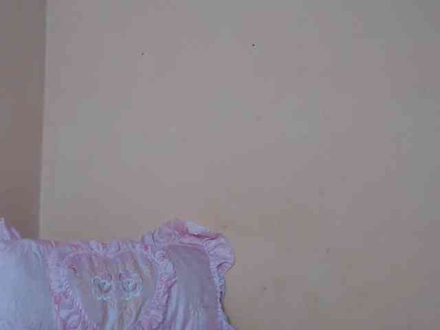 Rsylvie webcam