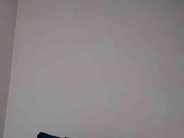 Rsylvie webcam