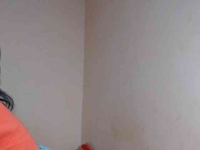 Rsylvie webcam