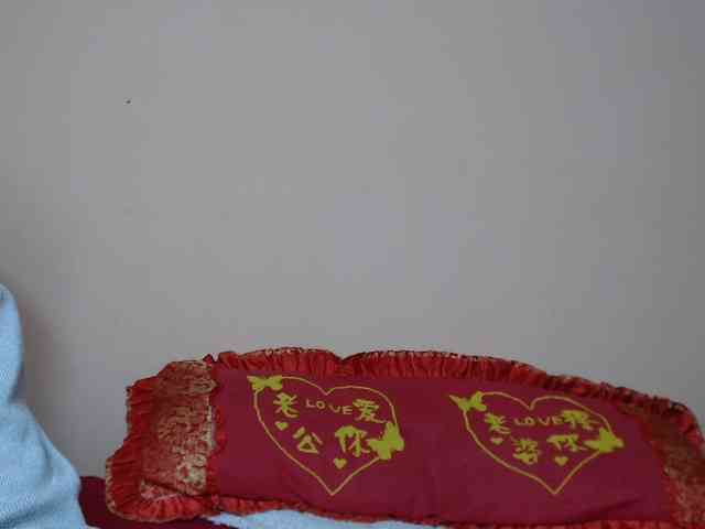 Rsylvie webcam