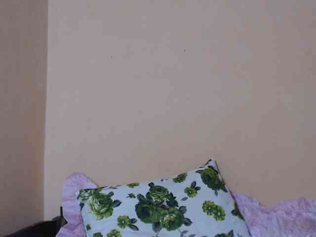 Rsylvie webcam